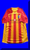 Trikot 1